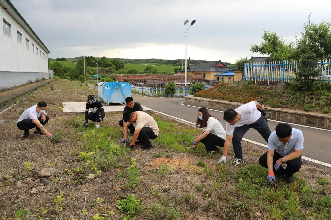 1661222011716857.png vvvvvv.png